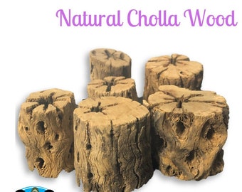 Natural Cholla Wood