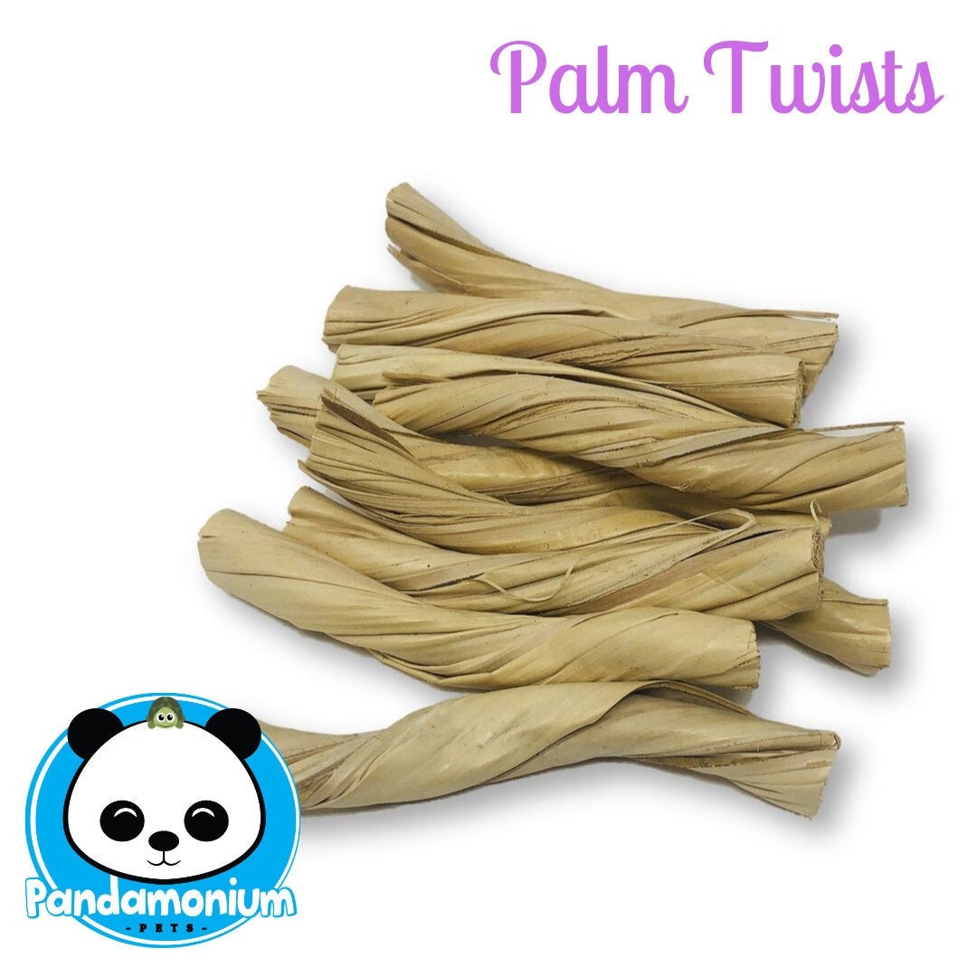 Does Rawhide Dissolve In A Bully Kuttas Stomach