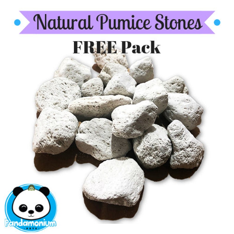 FREE Pack- Natural Pumice Stones- Chew Toys Discount mail order Animas - for Super sale period limited O Small