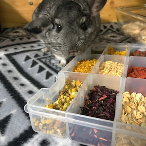 Chinchilla Treat Bundles imagem 3