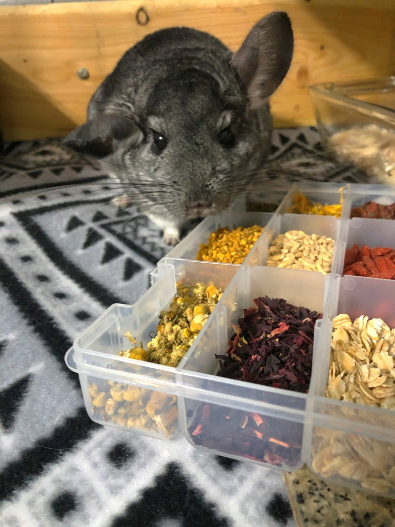 Chinchilla Treat Bundles imagem 3