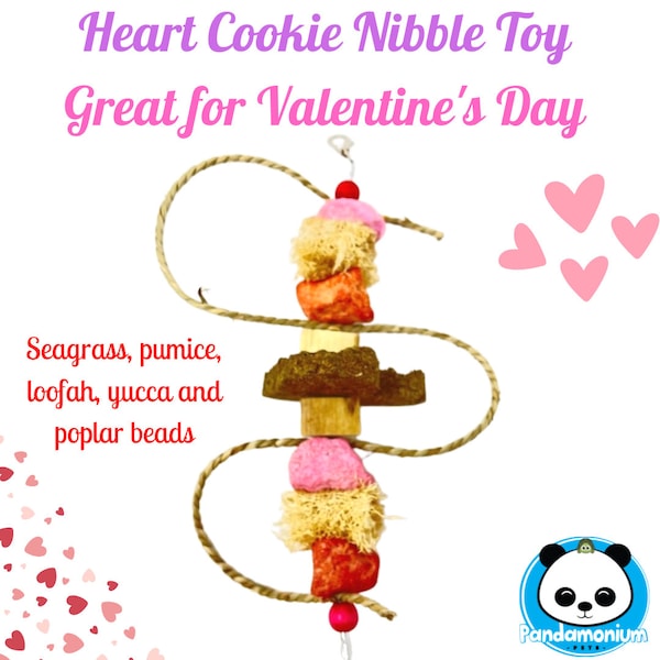 Heart Cookie Nibble Toy-10-11"-Pumice, seagrass, yucca, loofah