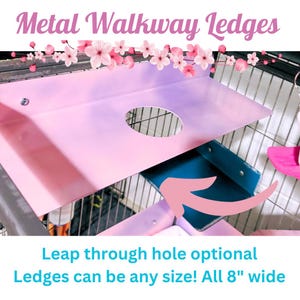 Metal Walkway Ledges-option leap through hole