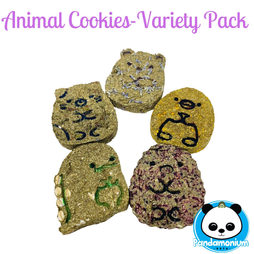 Animal Cookies- Variety Pack - Etsy