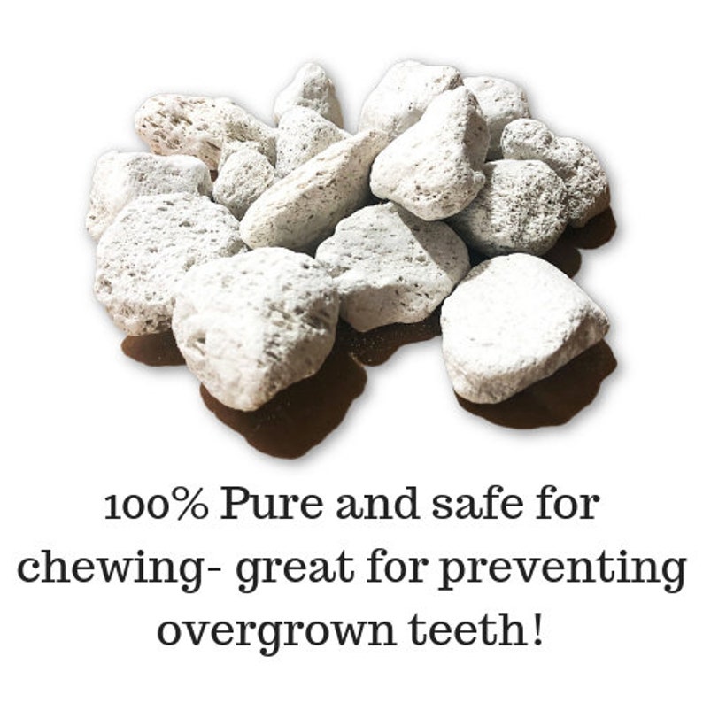 May include: A pile of white pumice stones, a natural material used for pet dental care. 100% Pure and safe for chewing - great for preventing overgrown teeth!