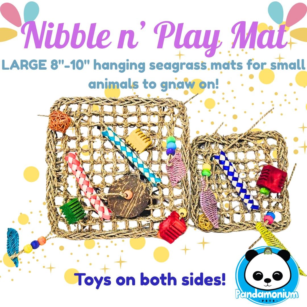 8"-10" Nibble N' Play Mats-big Interactive Seagrass Mats for Small Pets ...