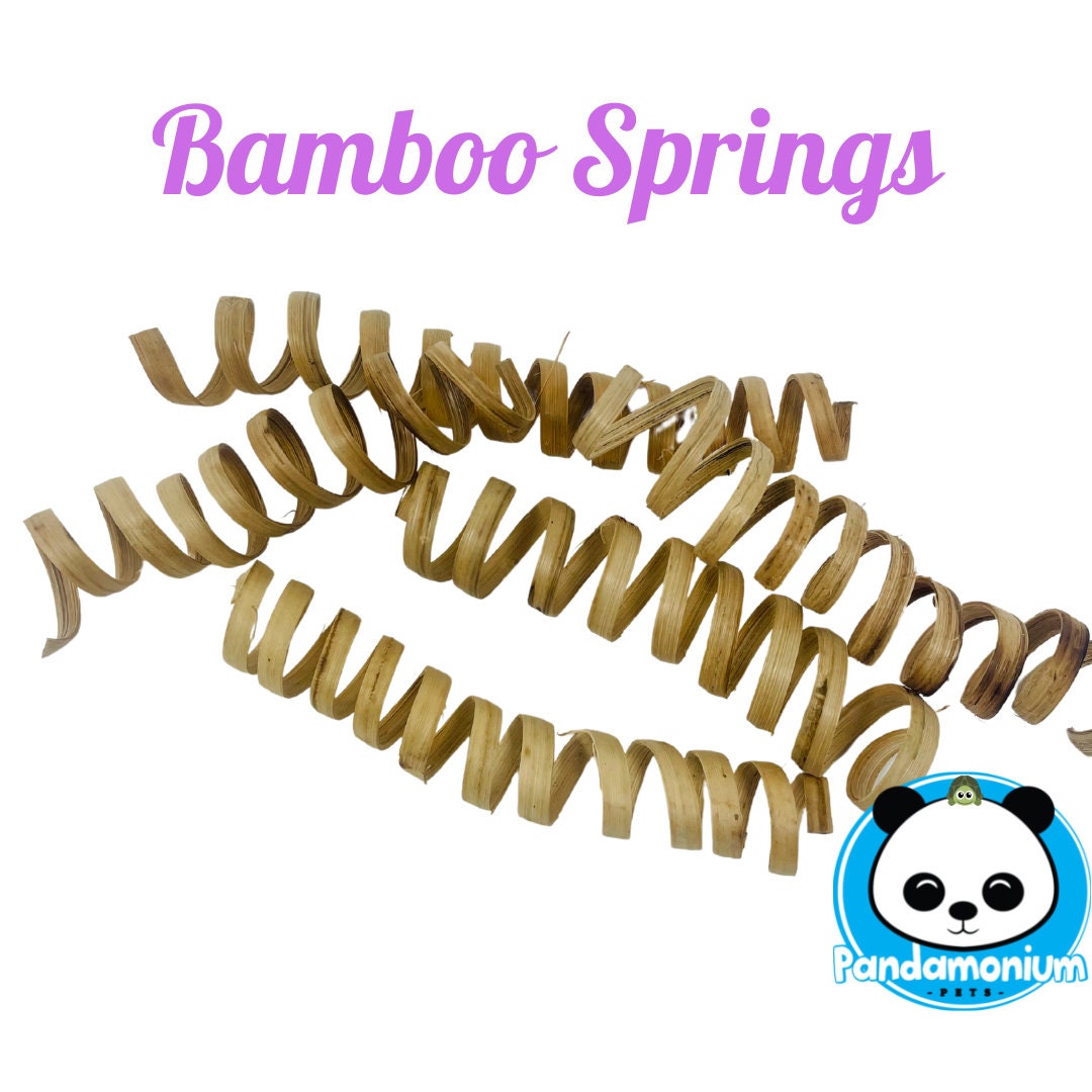 Molle di bambù