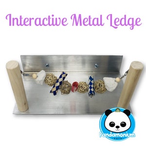 PRE ORDER-Metal Interactive ledges-For Chinchillas, Degus, Rats
