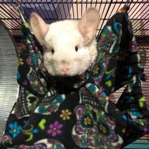 May include: A white chinchilla with pink ears and black eyes is resting in a black and white fleece hammock with a colorful sugar skull pattern.
