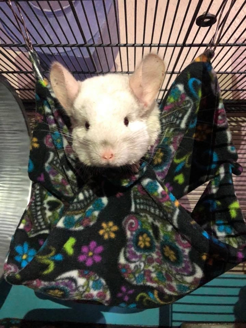 May include: A white chinchilla with pink ears and black eyes is resting in a black and white fleece hammock with a colorful sugar skull pattern.