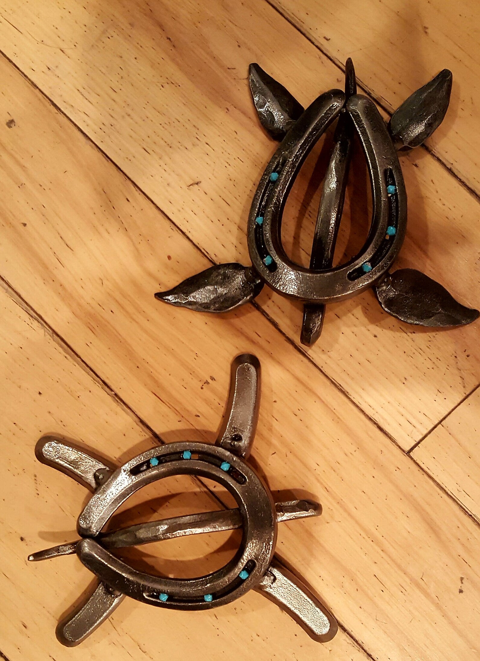 Horseshoe Turtles Etsy