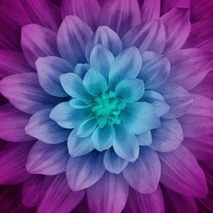 Aurora Dream Bigger Flower 108in x 108in Digital (Dream Big) Great for a whole cloth quilt!