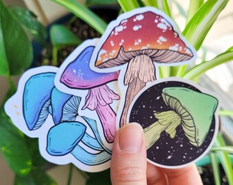 Matte Mushroom Sticker Pack