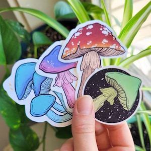 Matte Mushroom Sticker Pack