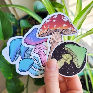 Pack d'autocollants champignon mat