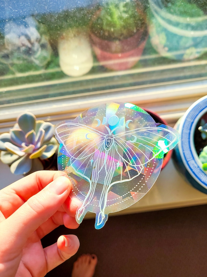 Luna Moth Celestial Window Sun Catcher Sticker / Rainbow Maker 