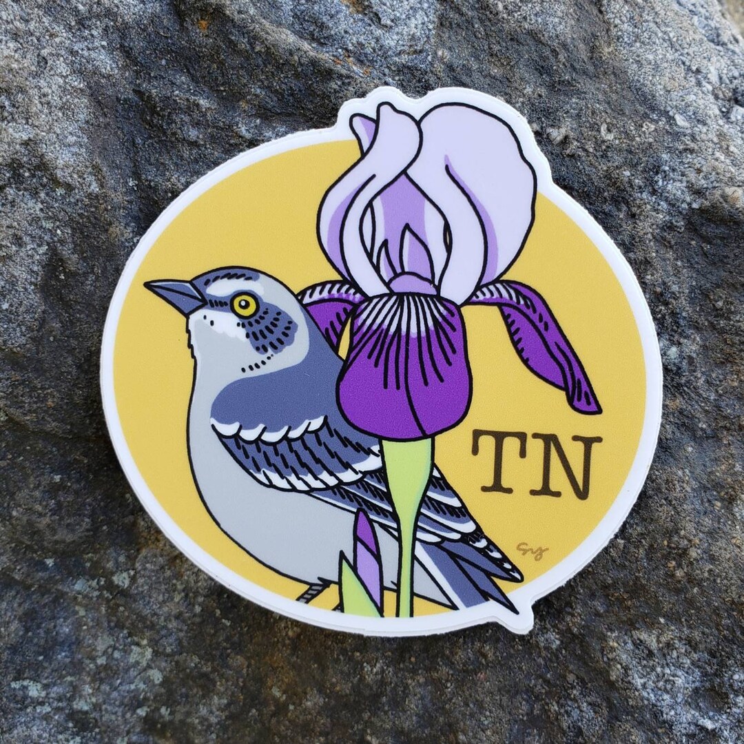 Tennessee State Bird and Flower. Northern Mockingbird and Etsy