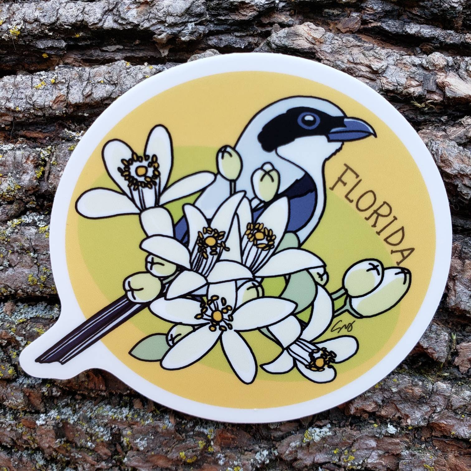 Florida State Bird and Flower. Northern Mocking Bird and Etsy UK