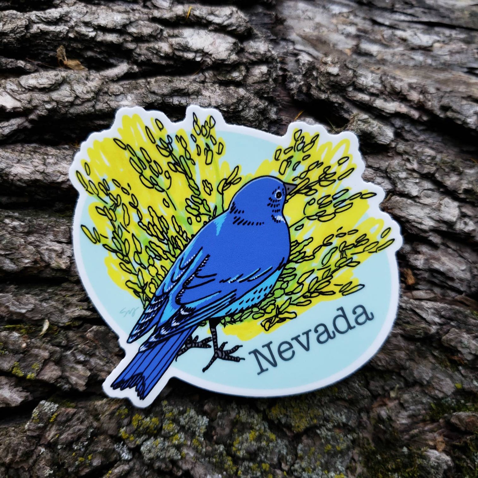 Nevada State Bird and Flower. Mountain Bluebird and Sagebrush. - Etsy