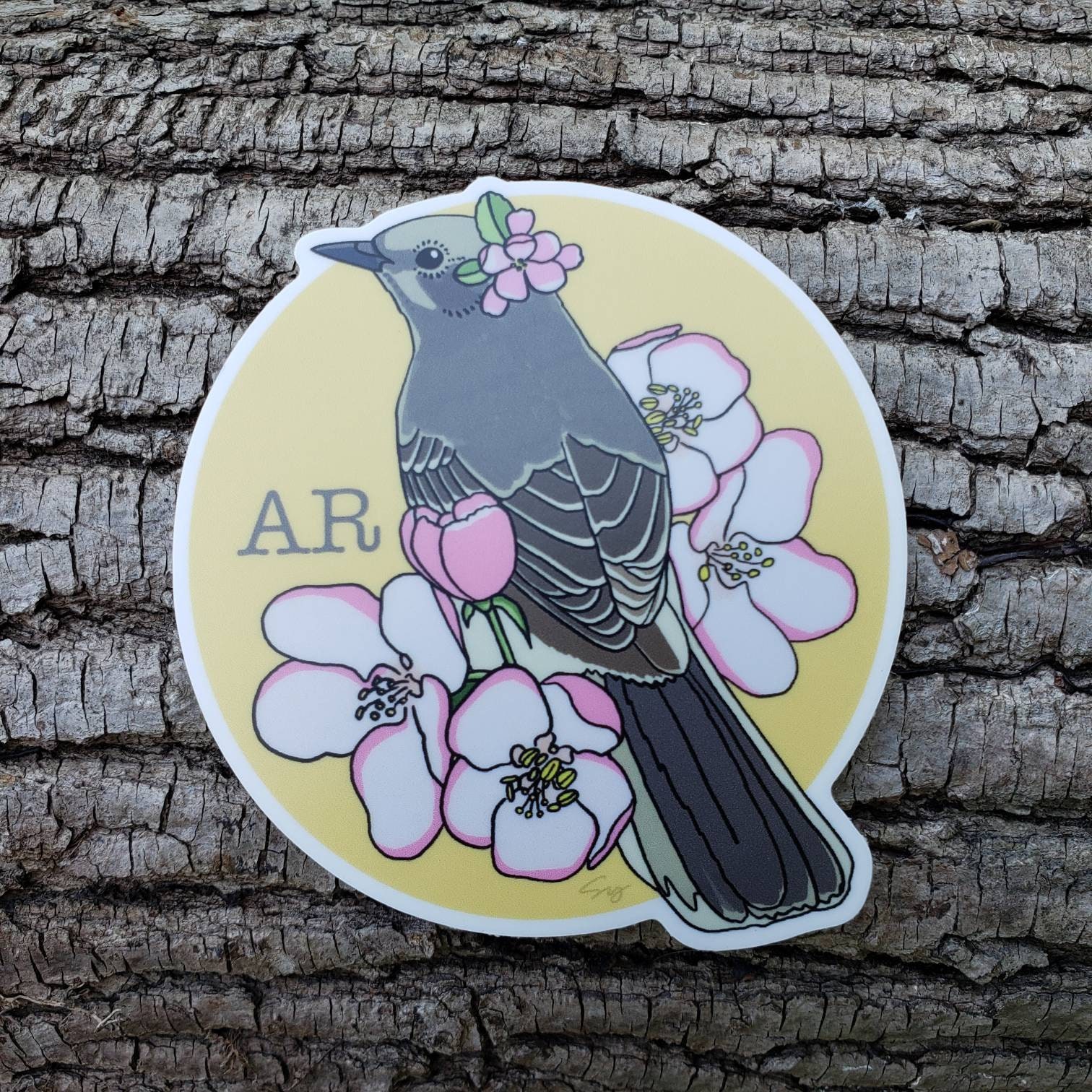 Arkansas State Bird and Flower. Mockingbird and Apple Blossom. Etsy