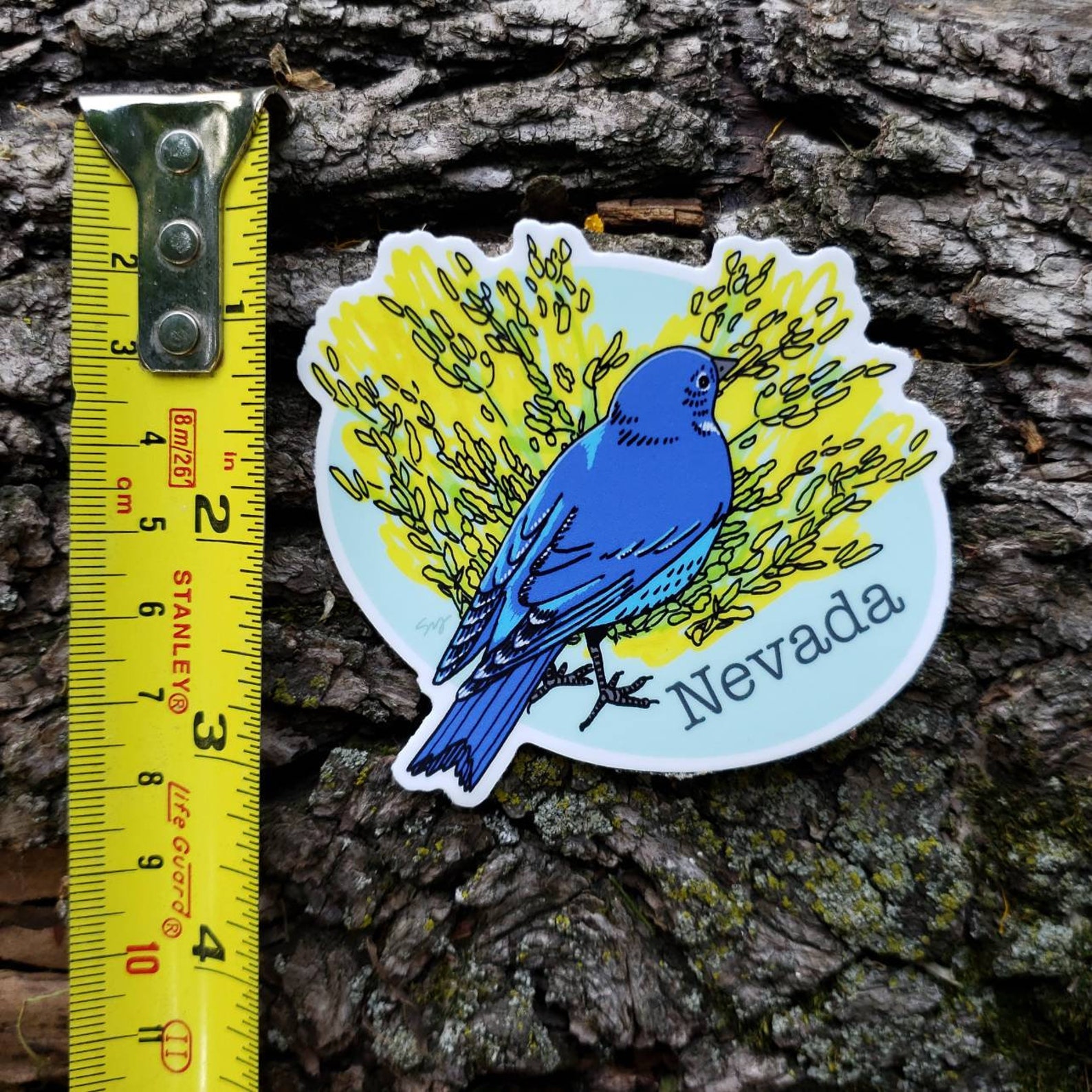 Nevada State Bird And Flower