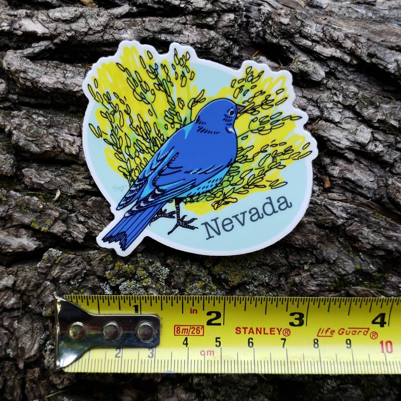 Nevada State Bird and Flower. Mountain Bluebird and Sagebrush. - Etsy