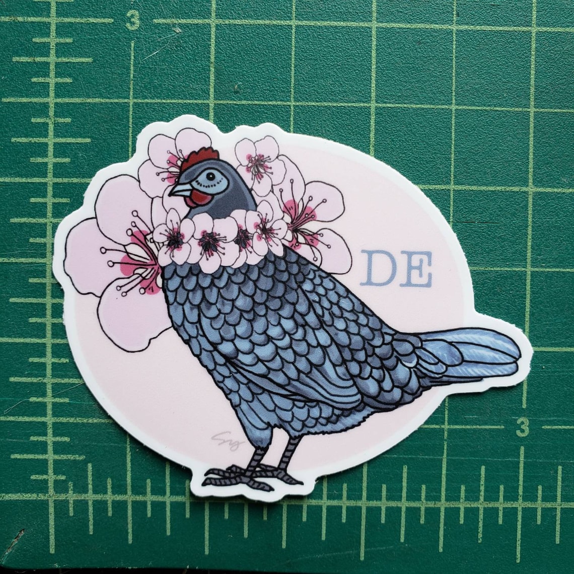Delaware State Bird and Flower. Delaware Blue Hen and Peach Etsy