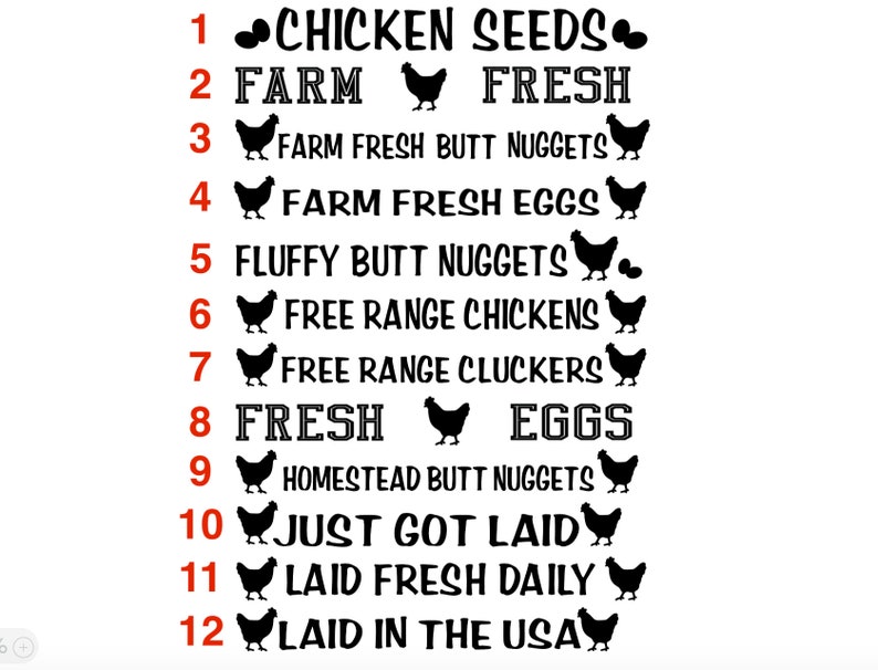 Egg Carton Funny Saying Egg Cartons Chicken Lover Funny Etsy