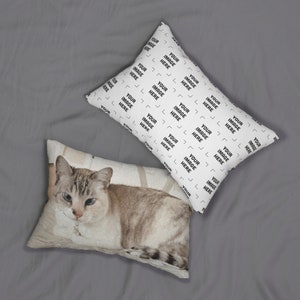 two pillows with a picture of a cat on them