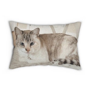 a cat is laying down on a pillow