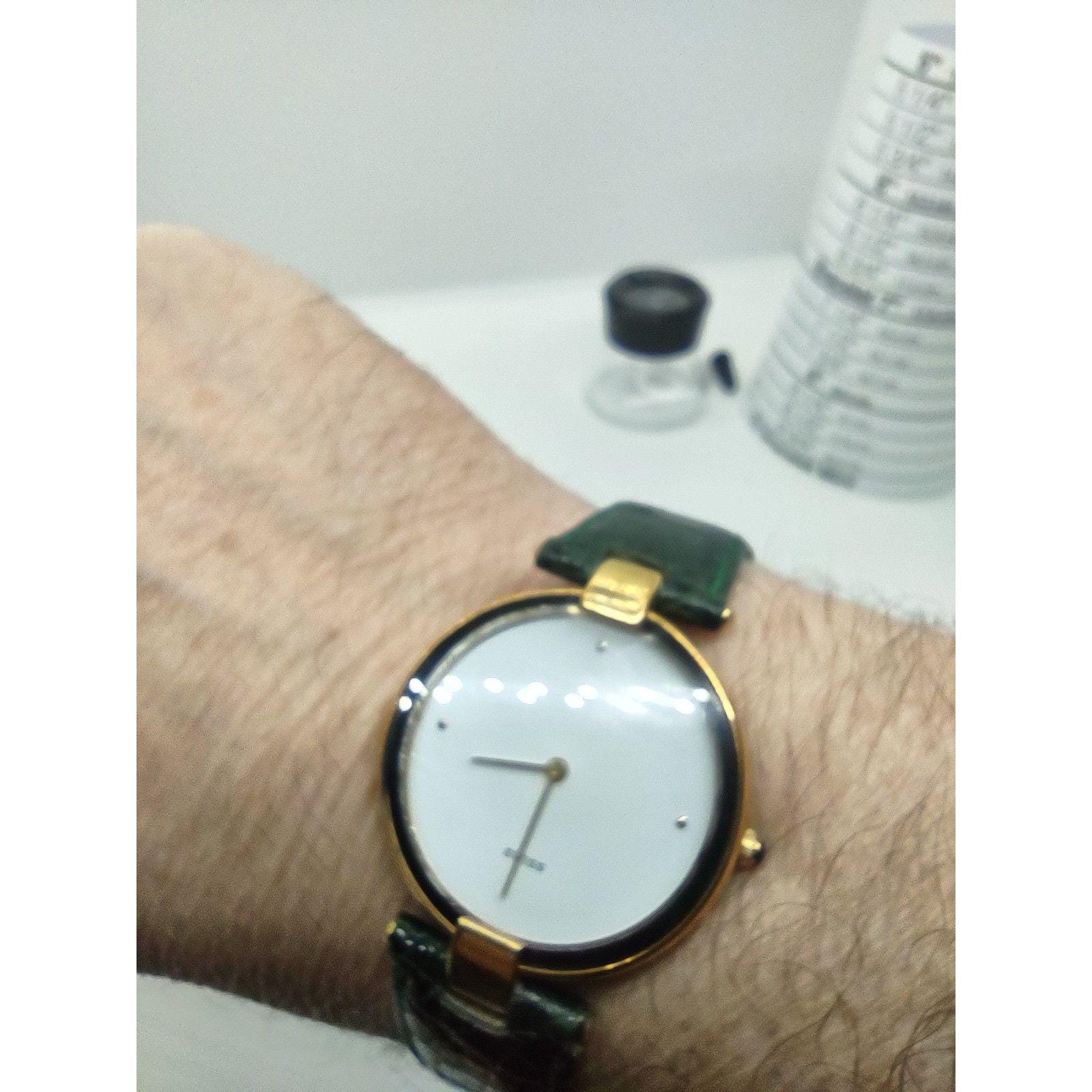 Paolo Gucci Orologi Limited Edition 450 Swiss Quartz Watch  display picture 2