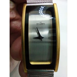 Skagen Denmark 2SGS Ladies Vintage Watch