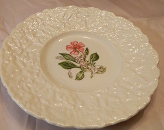 Vintage Royal Cauldron Bristol Ironstone Woodstock &quot;Rock Purslane&quot; Plate. Made in England