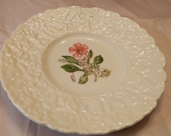 Vintage Royal Cauldron Bristol Ironstone Woodstock "Rock Purslane" Plate. Made in England