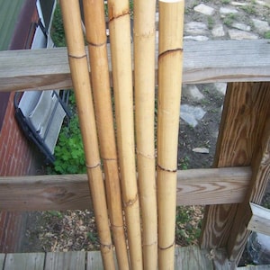 Manau Rattan Sword for Martial Arts including SCA Heavy & Youth Combat, Kali Arnis Escrima LARP Armor Combat Stave