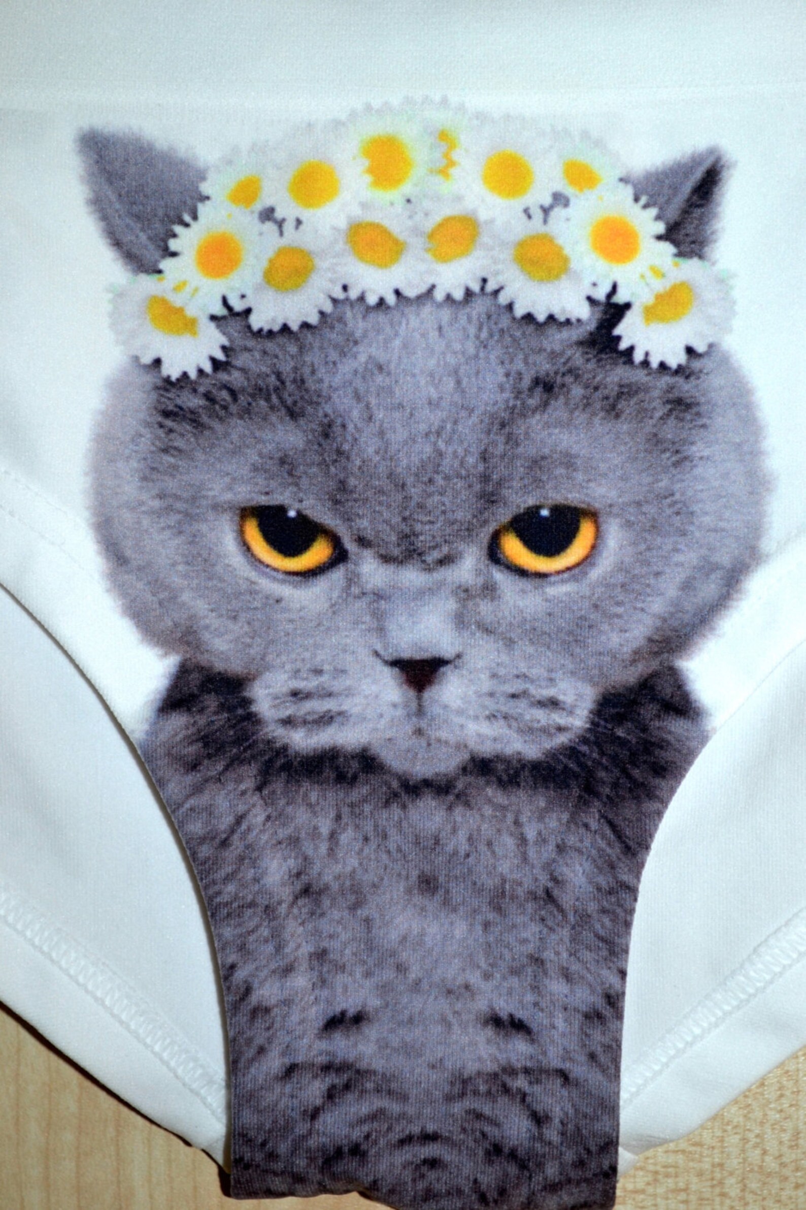 Cat Underwear Pussycat Funny Underwear Panties Grey Cat With Etsy
