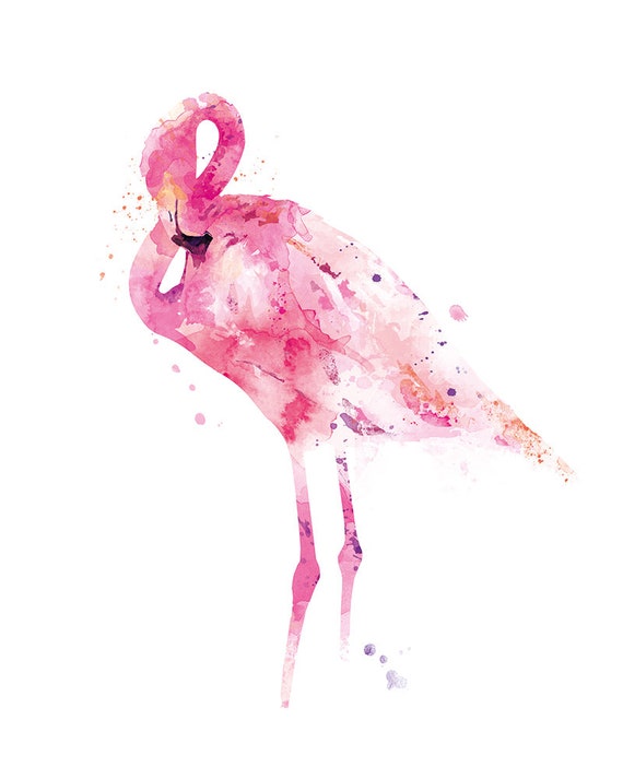 Flamingo pyjamas online tesco