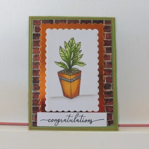 Carte plante - Carte félicitations - Carte de voeux double