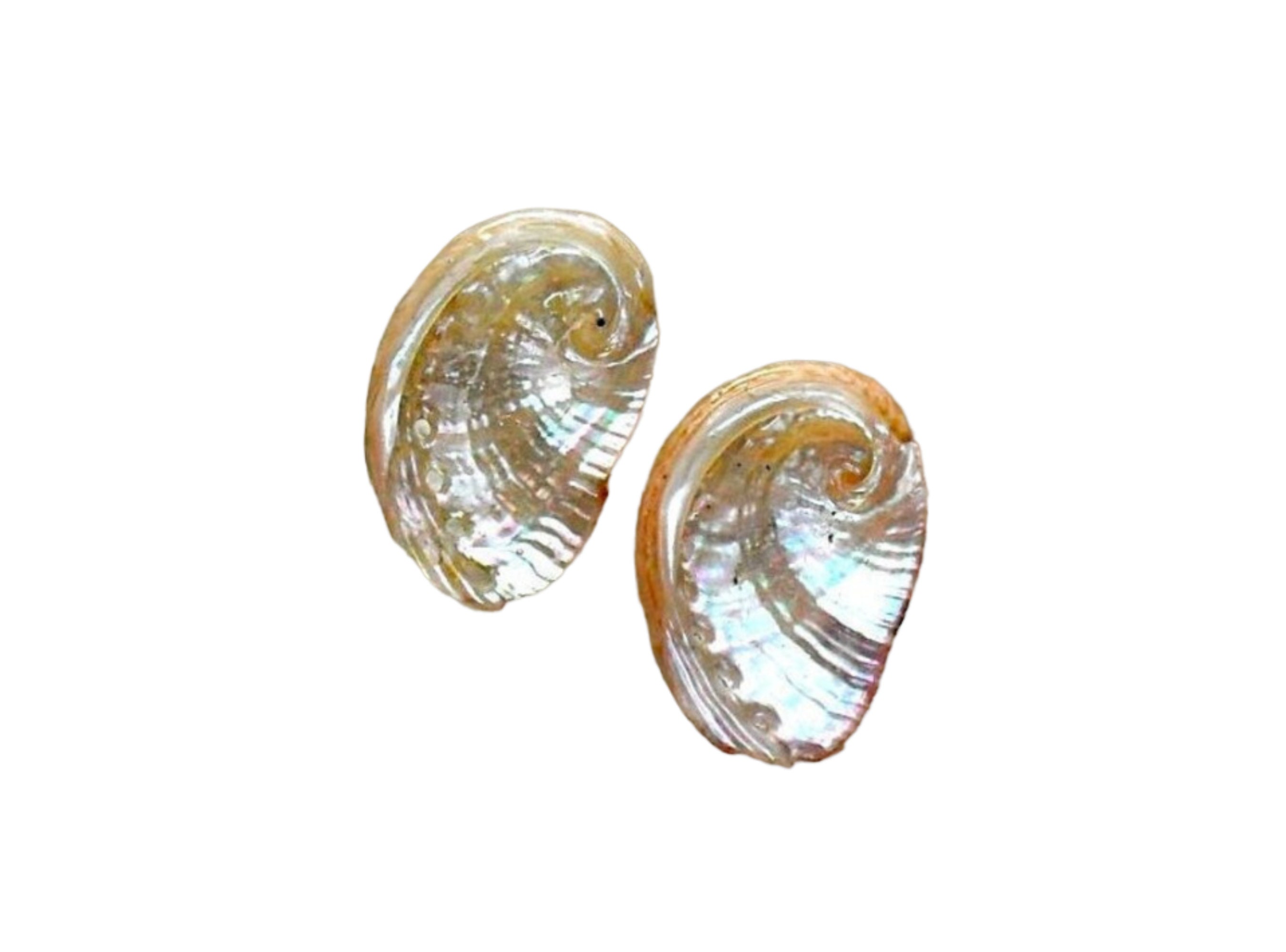 Silver Ormer Shell Mermaid Ormer Shell Stud Earrings: Recycled Sterling Silver, Guernsey ...