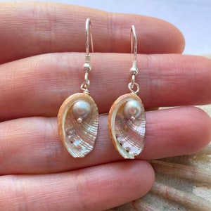 Mermaid Shell Earrings: Freshwater Pearl, Recycled Sterling Silver Hooks, Guernsey Seashell