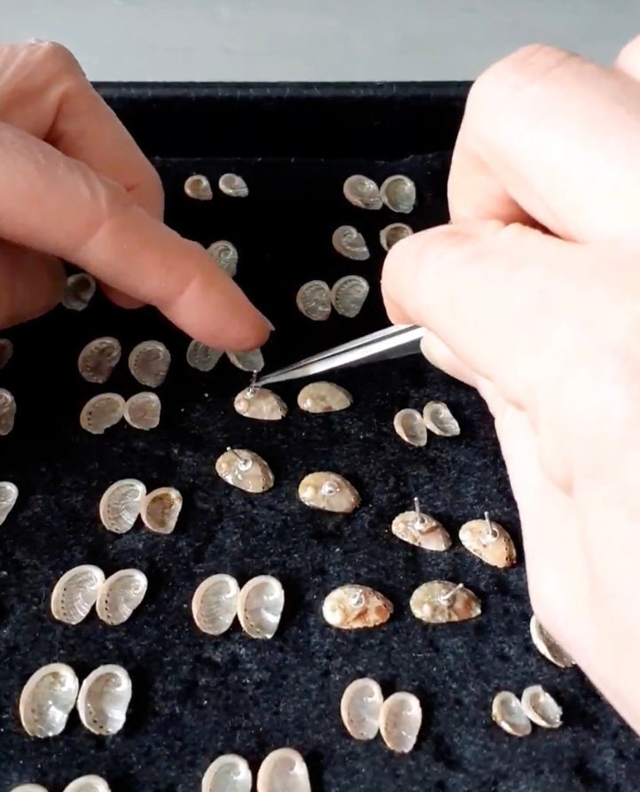 Silver Ormer Shell Mermaid Ormer Shell Stud Earrings: Recycled Sterling Silver, Guernsey ...