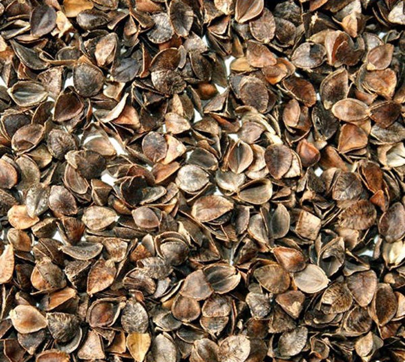 Organic Buckwheat Hulls 500 g for the filling of Cushions Etsy