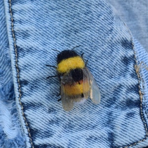 Realistic bumblebee for garden Felted  Bee brooch Gift for gardener Felted bumblebee Needle felted wildlife Pin Honey Bumblebee brooch