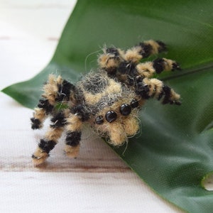 Spotted Jumping spider plush figurine Dollhouse ornament Micro spider  Wildlife miniature Spider gift Realistic spiders arachnida home