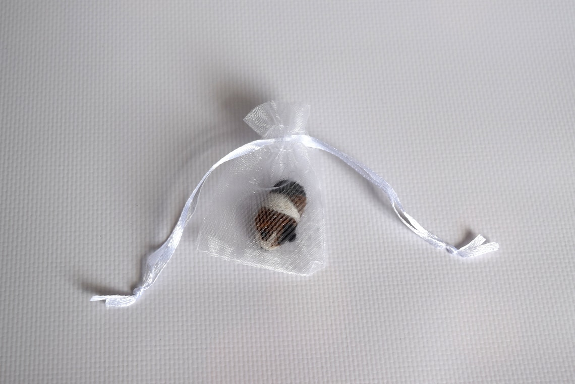 Tiny Guinea Pig Dollhouse Miniarure Micro Guinea Pig Figurine Etsy