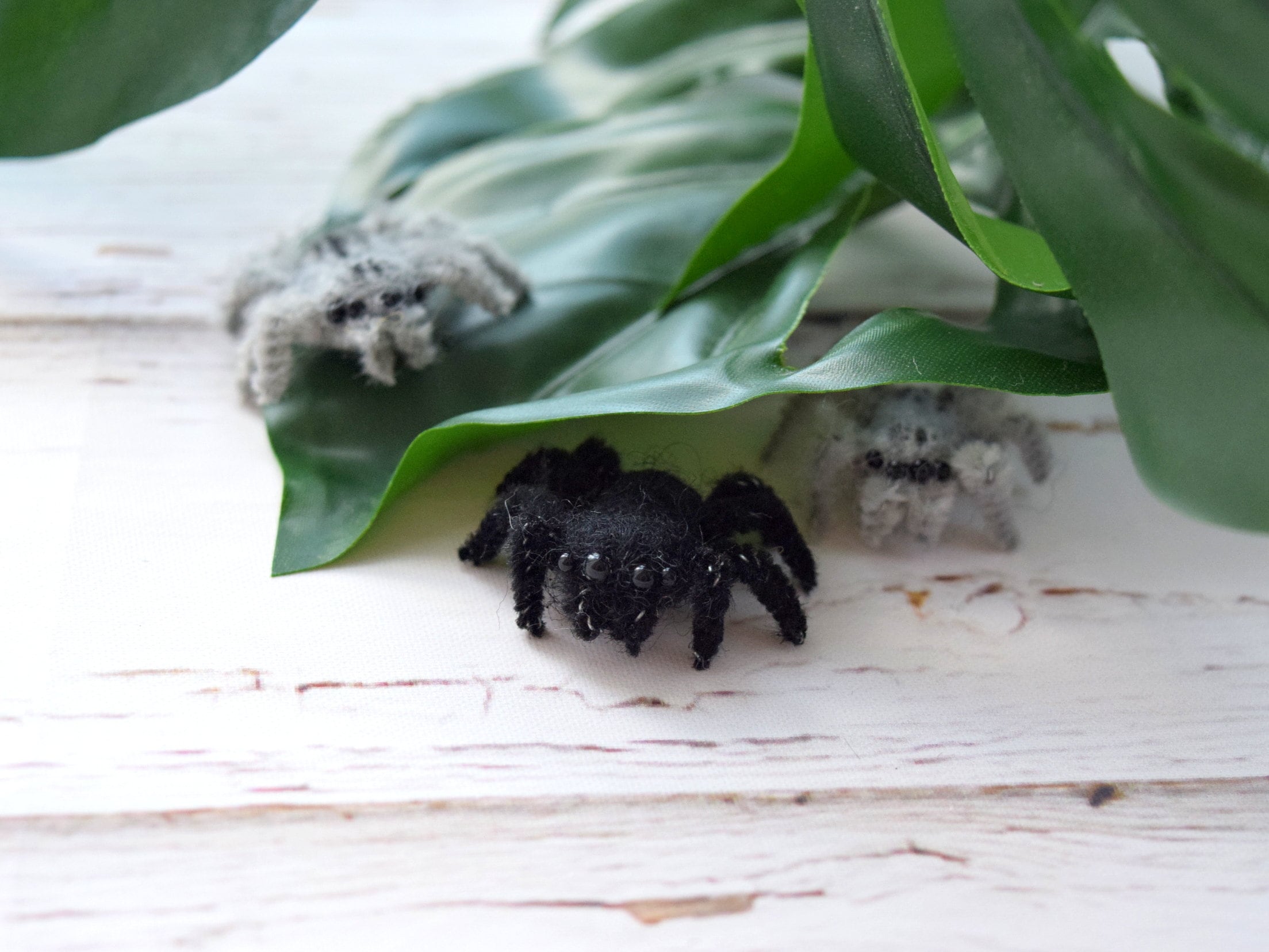 Araignée en peluche - araignée noire câline douce, jouet en peluche  Adorable, cadeau câlin mignon du désert, jouet de poupée en peluche super  doux