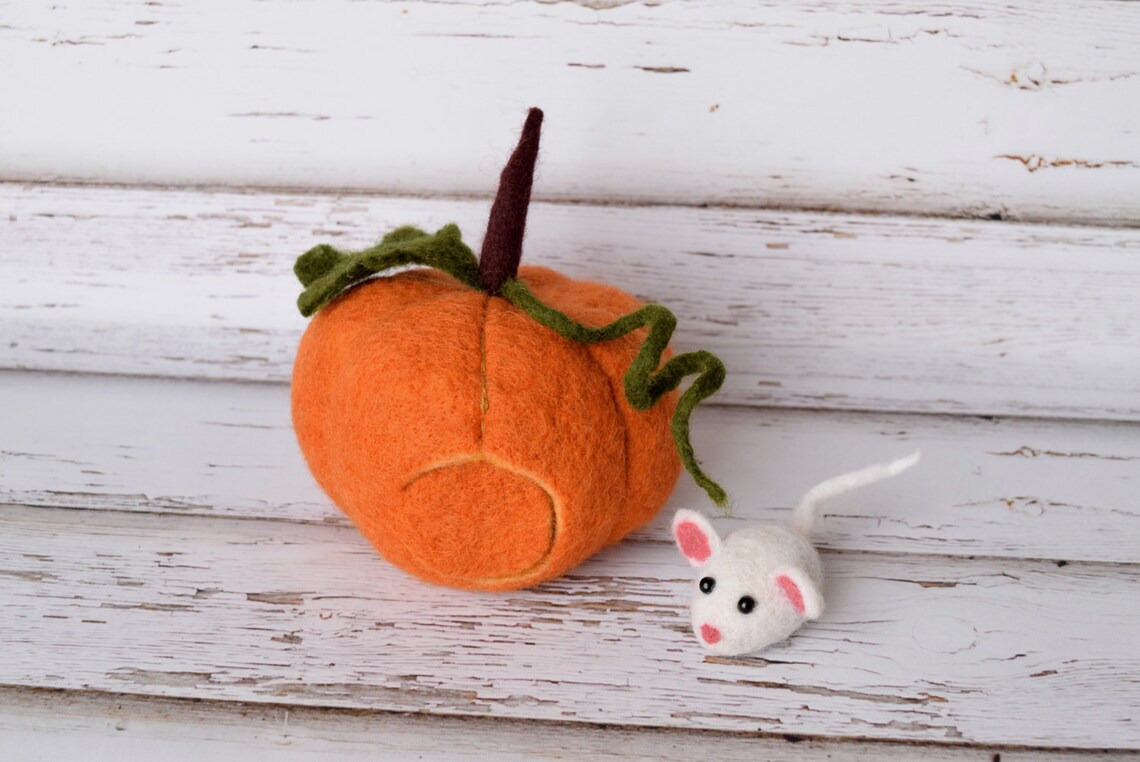 Mouse With a Pumpkin House Cute Mouse Dollhouse Needle Felted - Etsy