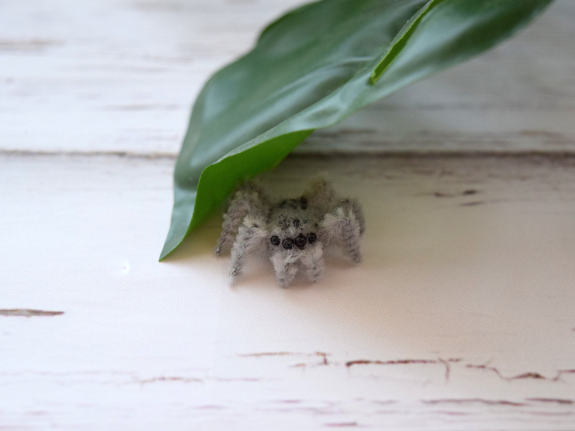 ハエトリグモのぬいぐるみ人形ドールハウスの飾りマイクロ