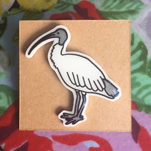 Ibis Pin