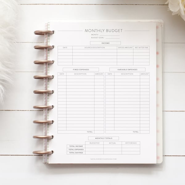 MONTHLY BUDGET for Discbound Planner, Mini, Happy Planner, Junior Disc Bound, Letter, ARC, Tul, Half Letter, Budgeting, Finance, Disc Bound